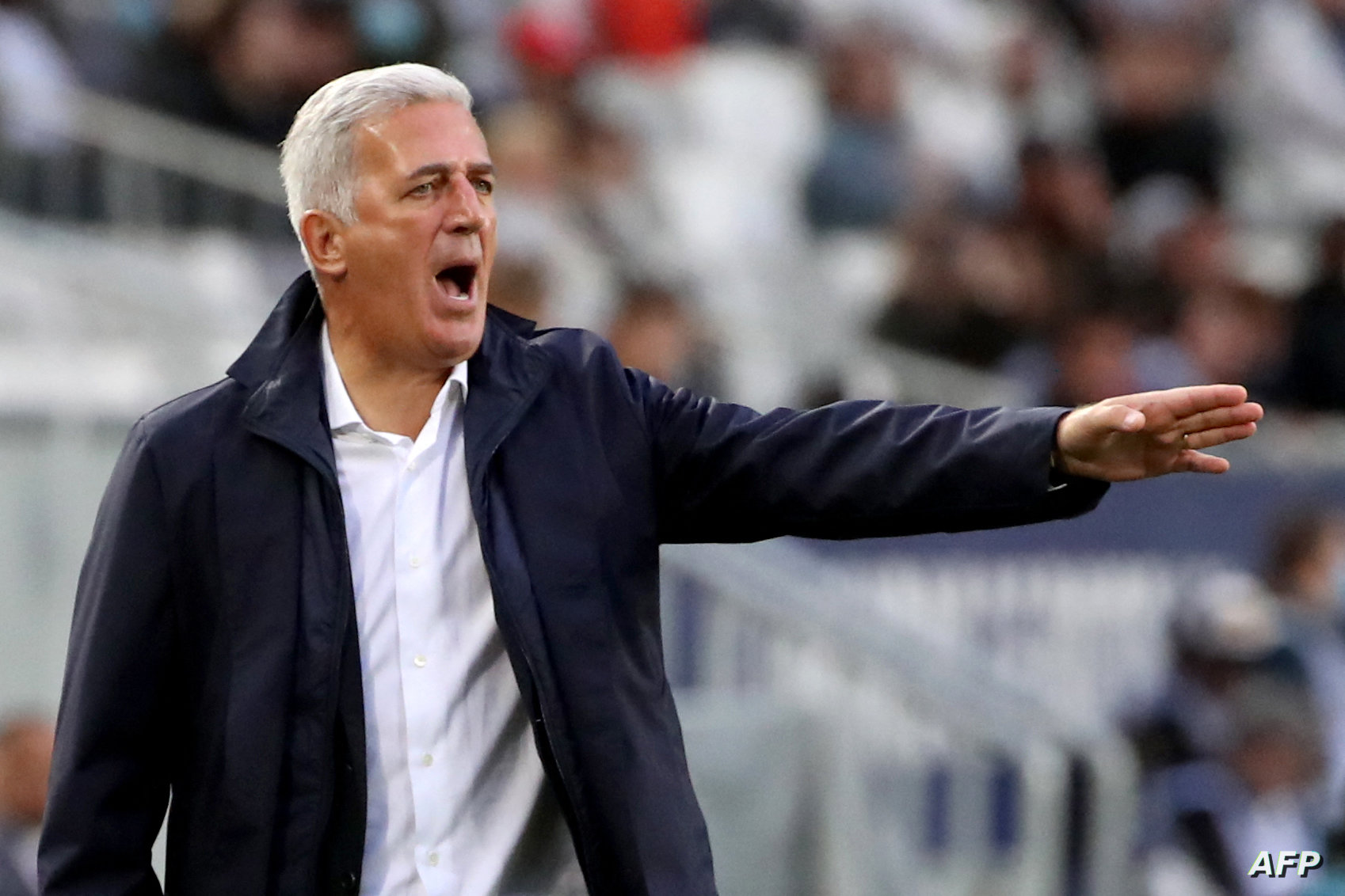 بتوصية من بيتكوفيتش..  بوخالفة الوافد الجديد المرتقب في المنتخب الوطني 
